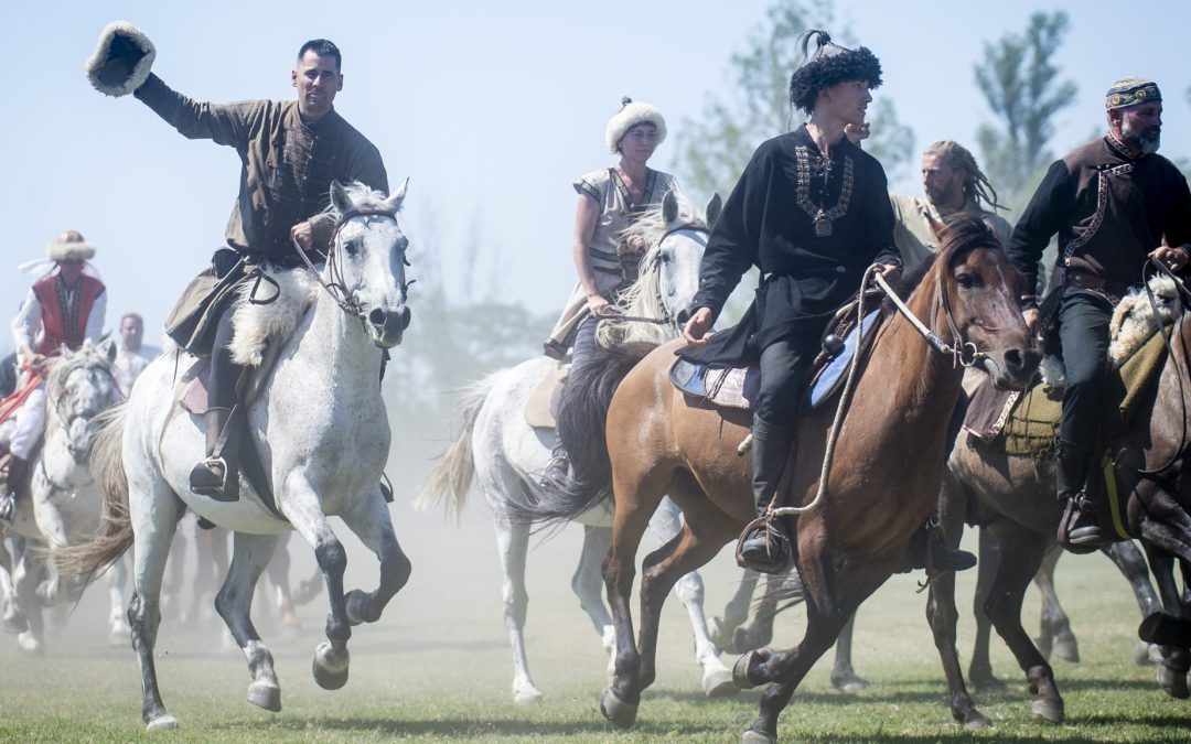 Hungarikum lett a magyar nyereg és a Pető-módszer
