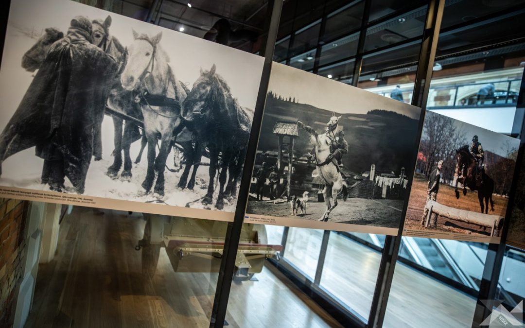 Táltosok hadiösvényen